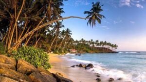 Mirissa srilanka solo travel
