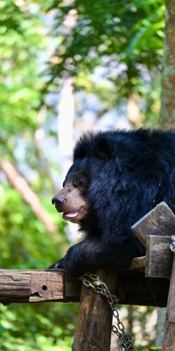 Luang Prabang - travelmuse by sangeeta